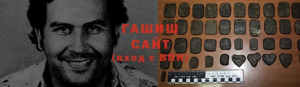 индика Алзамай