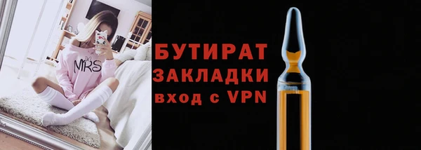 амф Ельня