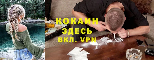 дурь Данков