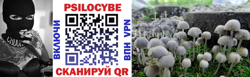 Псилоцибиновые грибы мицелий  Исилькуль 